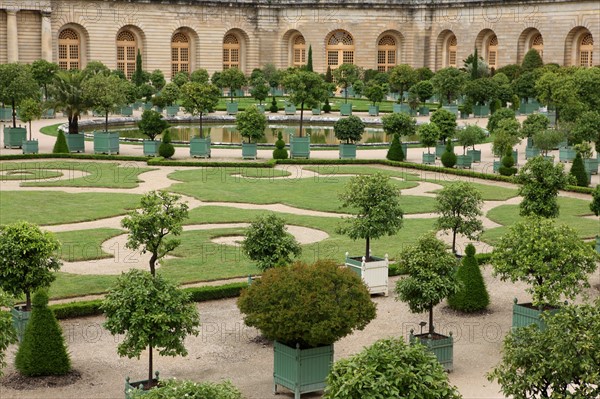 France, ile de france, yvelines, versailles, chateau, jardins, orangerie, arbres,