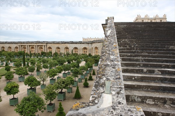 France, ile de france, yvelines, versailles, chateau, jardins, orangerie, arbres, les cent marches,