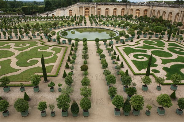 France, ile de france, yvelines, versailles, chateau, jardins, orangerie, arbres,