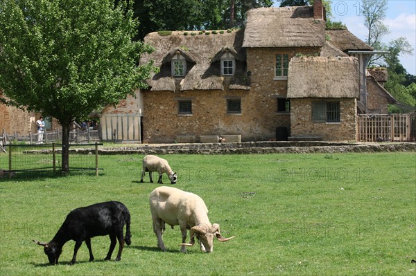 France, ile de france, yvelines, versailles, chateau de versailles, petit trianon, hameau de la reine, la ferme,