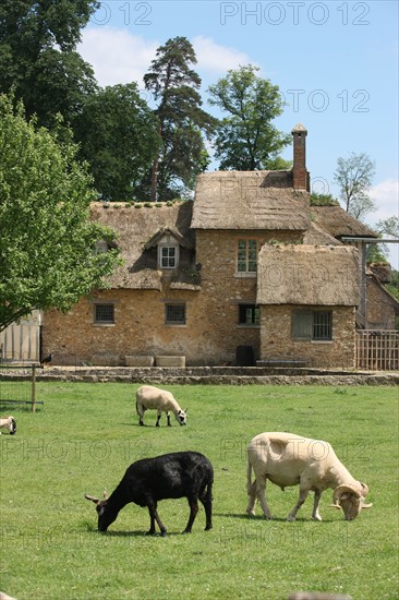 France, ile de france, yvelines, versailles, chateau de versailles, petit trianon, hameau de la reine, la ferme,