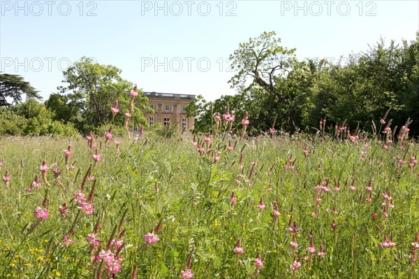 France, ile de france, yvelines, versailles, chateau de versailles, petit trianon, jardin a l'anglaise,