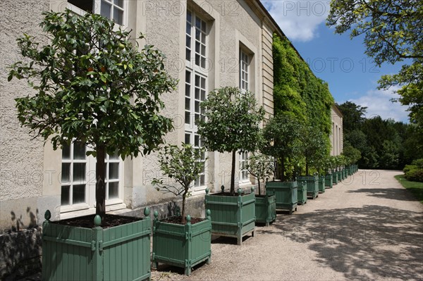 France, ile de france, yvelines, versailles, chateau de versailles, petit trianon, jardin a l'anglaise, orangerie,