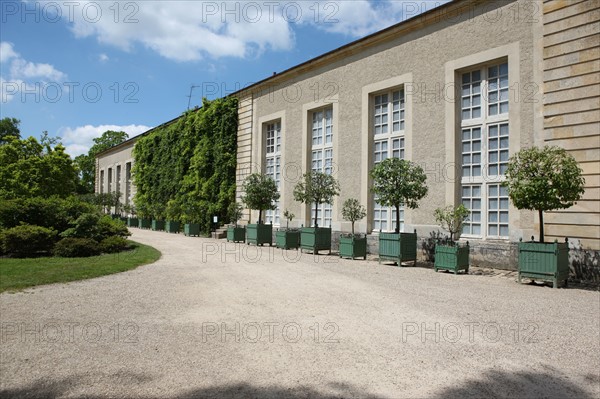 France, ile de france, yvelines, versailles, chateau de versailles, petit trianon, jardin a l'anglaise, orangerie,