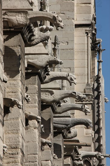 France, ile de france, paris 4e arrondissement, cathedrale notre dame de paris, facade, tours, place du parvis, religion catholique, art gothique, detail gargouille,