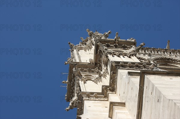 France, ile de france, paris 4e arrondissement, cathedrale notre dame de paris, facade, tours, place du parvis, religion catholique, art gothique, detail gargouille,