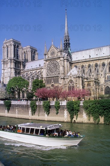 France, ile de france, paris 4e arrondissement, ile de la cite, cathedrale, notre dame de paris, bateau, la seine, eau, flanc sud, rose,