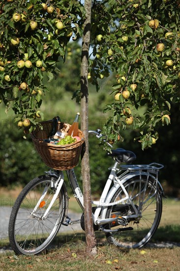 France, Haute Normandie, eure, pays de risle estuaire, Les Cigognes, 211 bis chemin du Roy, maison d'hote, location velo, pommiers, chaumiere, gastronomie, produits regionaux,