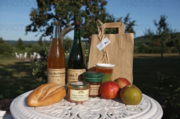 France, Haute Normandie, eure, pays de risle estuaire, Les Cigognes, 211 bis chemin du Roy, maison d'hote, location velo, pommiers, chaumiere, gastronomie, produits regionaux, panier pique nique,