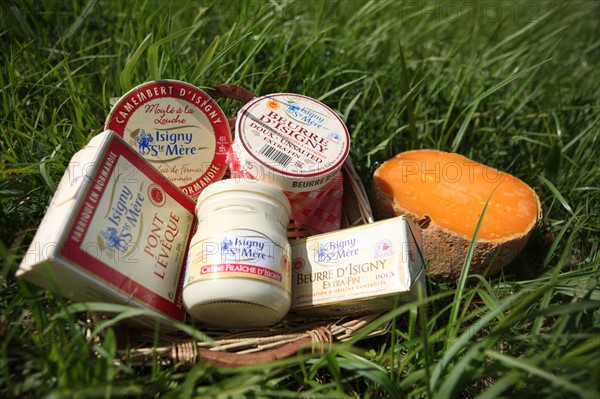 France, Basse Normandie, calvados, parc des marais du cotentin et du bessin, produits de la cooperative laitiere d'isigny, fromage, beurre, creme, mimolette, dans l'herbe, saint germain du pert,