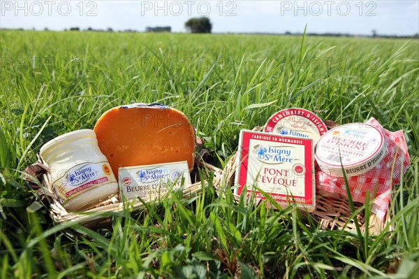 France, Basse Normandie, calvados, parc des marais du cotentin et du bessin, produits de la cooperative laitiere d'isigny, fromage, beurre, creme, mimolette, dans l'herbe, saint germain du pert,