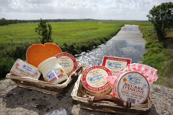 France, Basse Normandie, calvados, parc des marais du cotentin et du bessin, produits de la cooperative laitiere d'isigny, fromage, beurre, creme, mimolette, dans l'herbe, saint germain du pert,