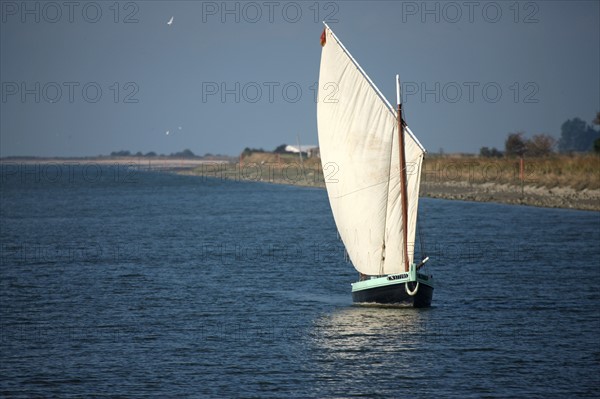 France, Basse Normandie, calvados, bessin, Isigny sur mer, embouchure de la vire, littoral, dunes, estuaire, manche, sable, voilier, plaisance, vieux greement,