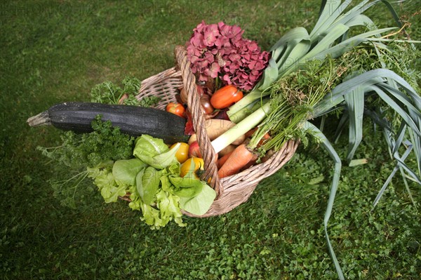 France, Basse Normandie, calvados, tracy sur rmer, bienvenue a la ferme, ferme de la rosiere, hebergement, brigitte et roland etienne, gastronomie, chambre d'hotes, panier de legumes du potager,