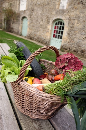 France, Basse Normandie, calvados, tracy sur rmer, bienvenue a la ferme, ferme de la rosiere, hebergement, brigitte et roland etienne, gastronomie, chambre d'hotes, panier de legumes du potager,