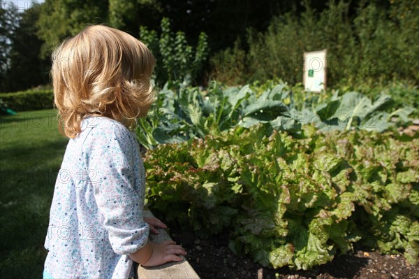 France, Haute Normandie, eure, pays du roumois, saint ouen de pontcheuil, moulin amour, jardin potager, famille, enfant,