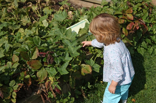 France, Haute Normandie, eure, pays du roumois, saint ouen de pontcheuil, moulin amour, jardin potager, famille, enfant,