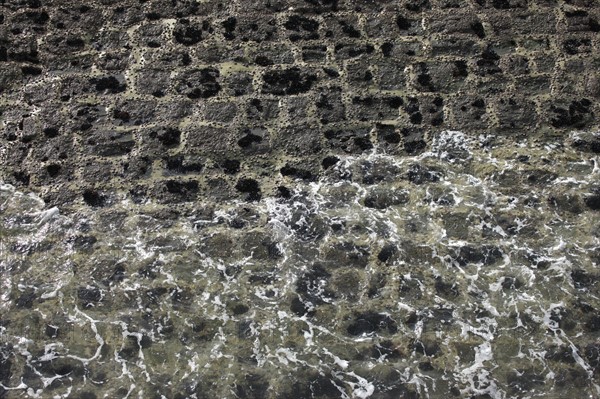 France, Haute Normandie, seine maritime, pays des hautes falaises, etretat, fecamp, plage, galets, circuits impressionnistes, detail sol pres de la jetee, mousse,