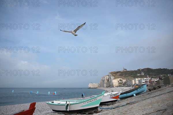 France, Haute Normandie, seine maritime, pays des hautes falaises, etretat, plage, galets, falaise d'amont, barques, caiques, bateaux, canots, impressionnisme, goeland en vol,