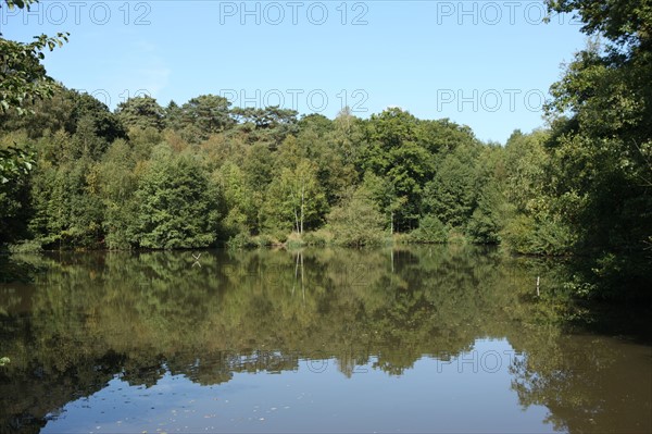 France, Haute Normandie, seine maritime, pays d'accueil touristique du pays de bray, forges les eaux, promenade du bois de l'epinay, etang reflet dans l'eau