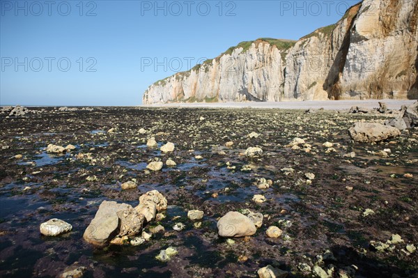 France, Haute Normandie, seine maritime, l'echelle saint martin, plateau de caux maritime, sortie pedagogique sur l'estran, falaise,