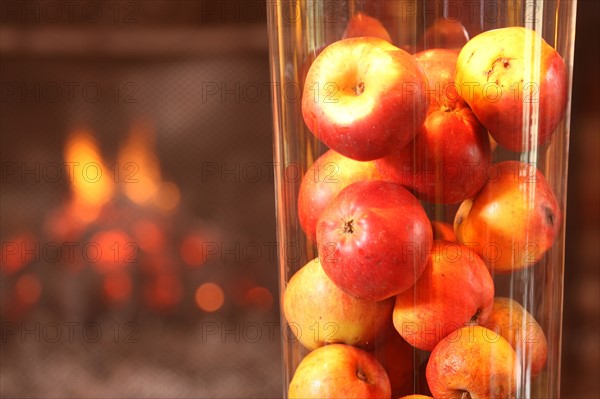 France, Haute Normandie, seine maritime, pays d'accueil touristique du terroir de caux, belmesnil, hotel de campagne, decoration, pommes,