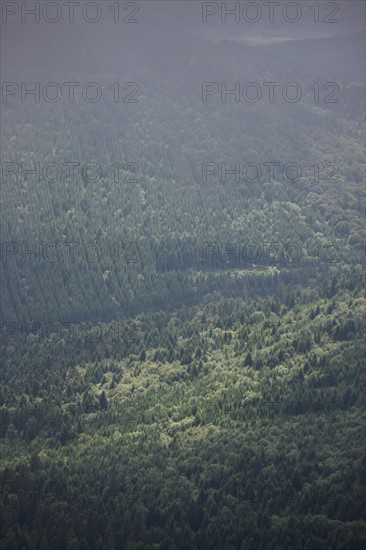 France, auvergne, puy de dome, paysage depuis le sommet du puy de dome, volcan, ciel tres menacant, orage, brouillard, meteo, foret de pins,