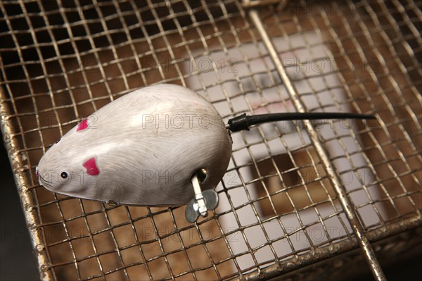 Villa Hamster in Nantes