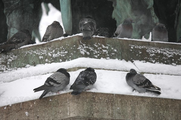 Paris sous la neige