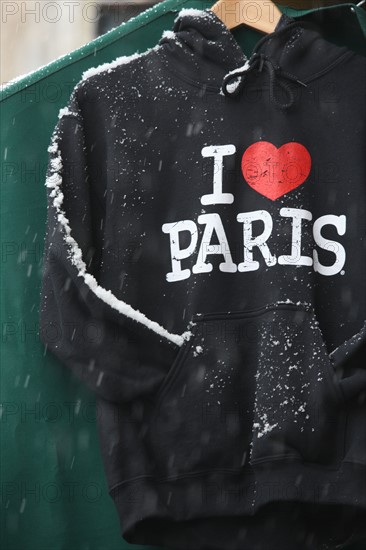 Paris sous la neige