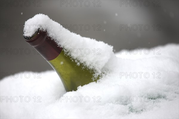 Paris sous la neige