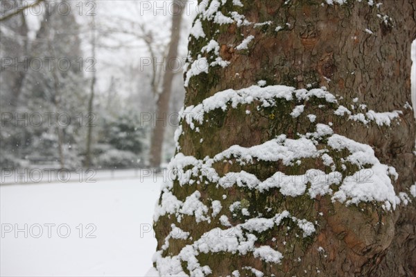 Paris sous la neige