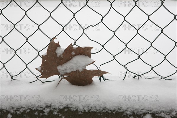 Paris sous la neige