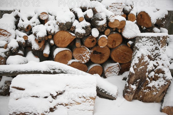 Paris sous la neige