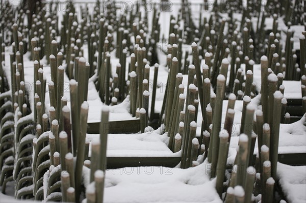 Paris sous la neige