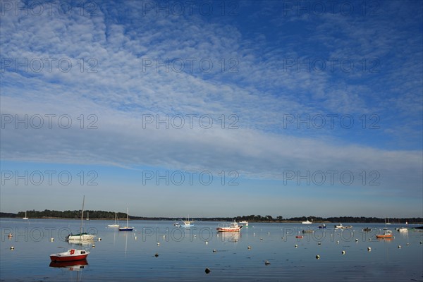 France, Bretagne, morbihan, golfe du morbihan, locmariaquer, mer, eau, bateaux, naires, voiliers, village, port,