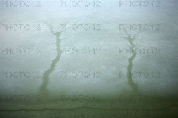 France, Ile de France, Yvelines, Versailles, chateau de Versailles, parc du chateau, jardin, hiver, froid, bassin de l'orangerie, eau gelee, givre, glace,