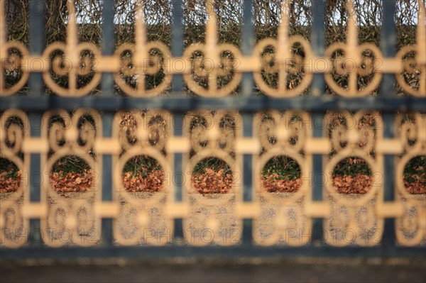 France, Ile de France, Yvelines, Versailles, chateau de Versailles, parc du chateau, jardin, hiver, grille, feuilles mortes,