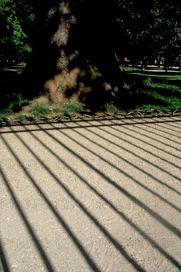 France, jardin du luxembourg