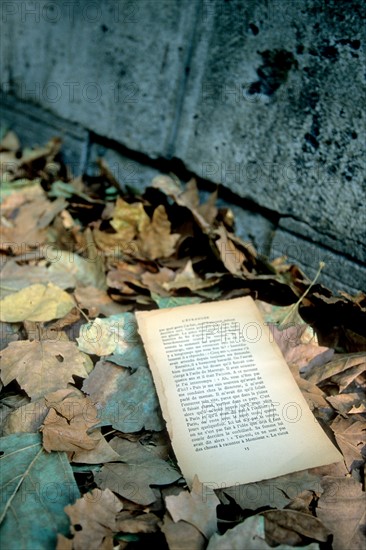 France, Ile de France, paris, 5e arrondissement, quai, bonne feuilles dans les feuilles mortes, page de livre, automne, litterature, caniveau, bouquinistes,