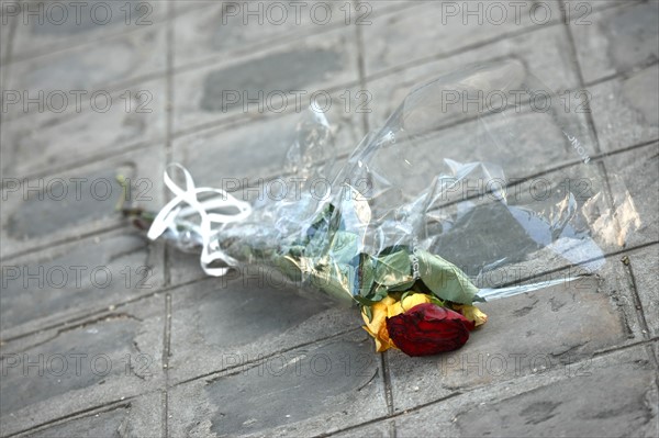 France, paris 14e arrondissement, boulevard raspail, rose jetee par terre, symbole,