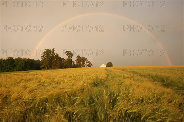 France, region centre, cher, sancerrois, pesselieres, arc en ciel, orage, meteo, rainbow, pluie, climat, arche, agriculture, champ, panneau, chemin,