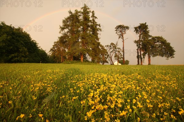 France, area around Sancerre