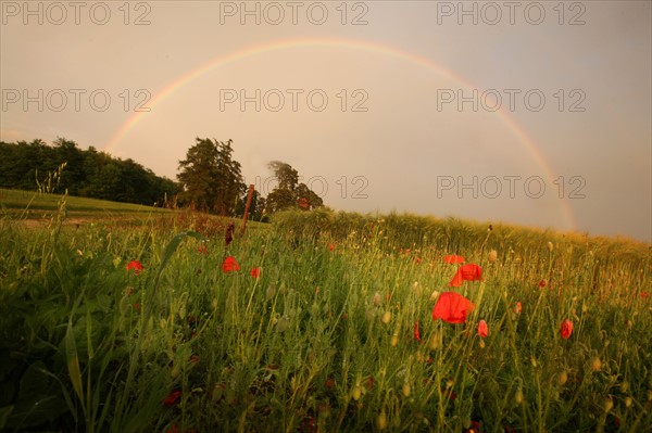 France, region centre, cher, sancerrois, pesselieres, arc en ciel, orage, meteo, rainbow, pluie, climat, arche, agriculture, champ, panneau, chemin, coquelicots,