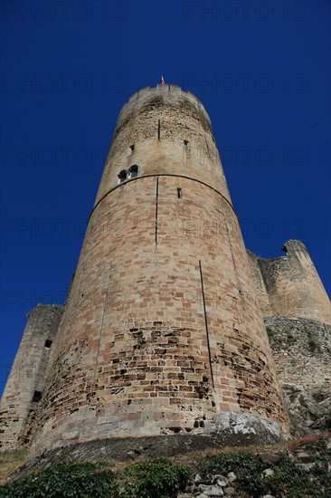 france, region midi pyrenees, aveyron, najac, village sauvegarde, chateau, forteresse, moyen age, vieilles pierres, patrimoine, histoire, tour,