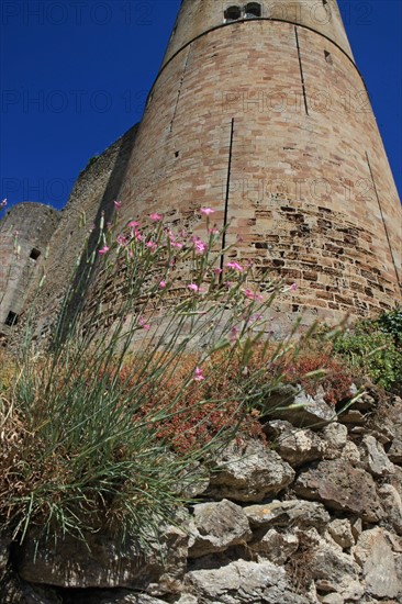 france, region midi pyrenees, aveyron, najac, village sauvegarde, chateau, forteresse, moyen age, vieilles pierres, patrimoine, histoire, tour, fleurs,