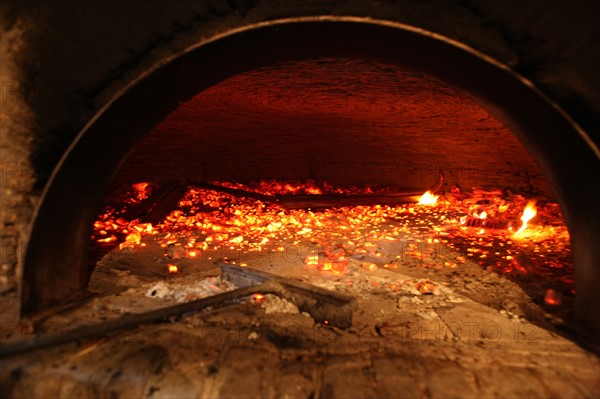 France, la haye de routot