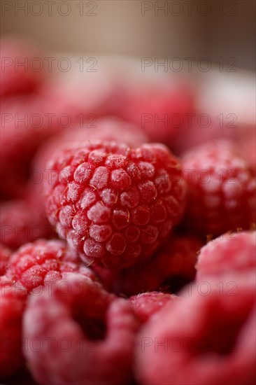 France, Raspberry bush domain