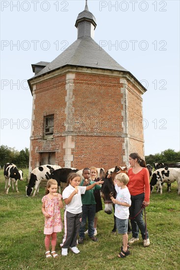 France, Louvet farm