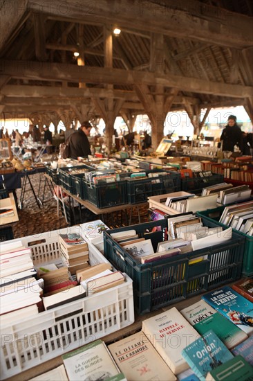 France, Haute Normandie, eure, la ferriere sur risle, brocante sous les halles, marche, antiquites, 3e dimanche de chaque mois,